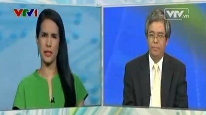 越、海上領有権と正当な利益を平和措置で保護 - ảnh 1