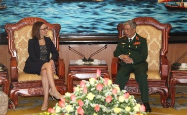 ビン国防次官、米国防次官補代理と会見 - ảnh 1