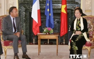 ゾアン国家副主席、フランスの指導者らと会見 - ảnh 1