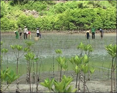 気候変動対応分野における国際協力 - ảnh 1