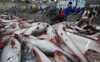 今年上半期の農林水産物の輸出が好転 - ảnh 1