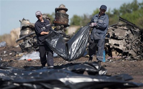 8月22日、マレーシア航空墜落犠牲者の国葬 - ảnh 1