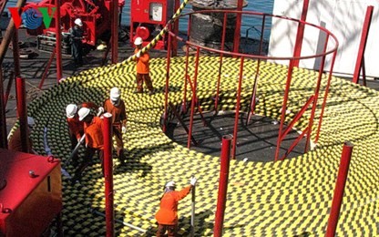 EVN、離島の電気引込プロジェクトを展開 - ảnh 1