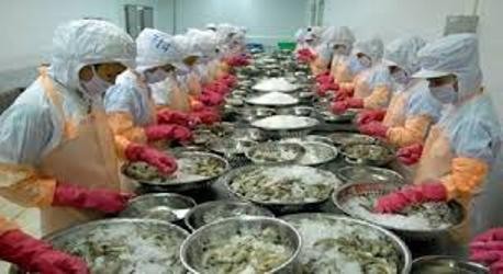 VASEP=アメリカ商務省に抗議 - ảnh 1