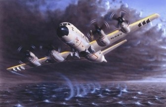 米、殺傷力のある武器禁輸措置一部解除 - ảnh 1