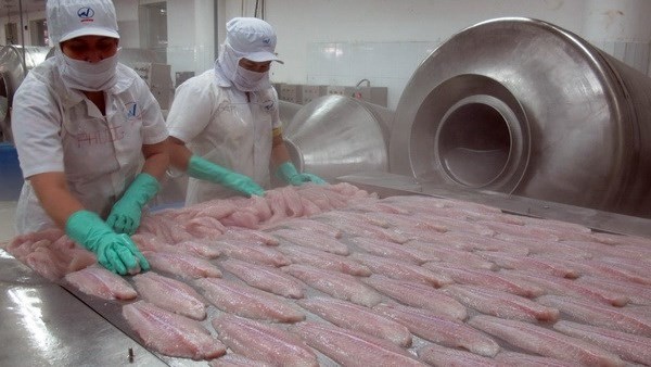 ブラジルへのナマズ輸出量、増加 - ảnh 1