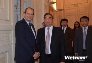 ホンアイン常務委員のフランス訪問 - ảnh 1