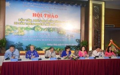 ハロン湾の価値を発揮 - ảnh 1