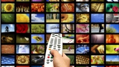 在外ベトナム人向けの情報提供を強化 - ảnh 1