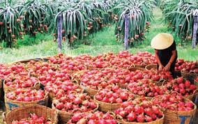 商工省、カイロでシンポ開催 - ảnh 1