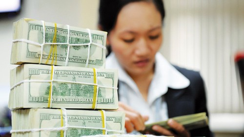 在外ベトナム人の送金額、増加 - ảnh 1