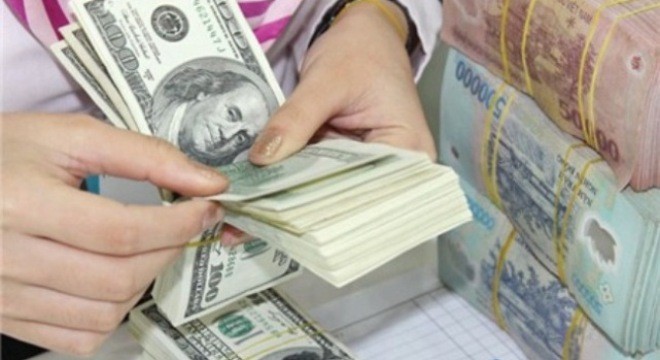 ベトナム、外貨の為替相場が安定 - ảnh 1