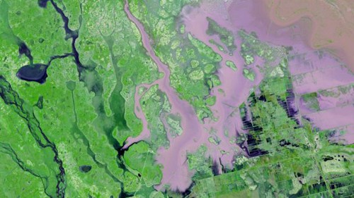 ベトナム、モザンビーク洪水被災者を支援 - ảnh 1