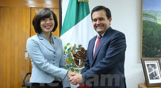 メキシコ経済大臣、ベトナム大使と会見 - ảnh 1