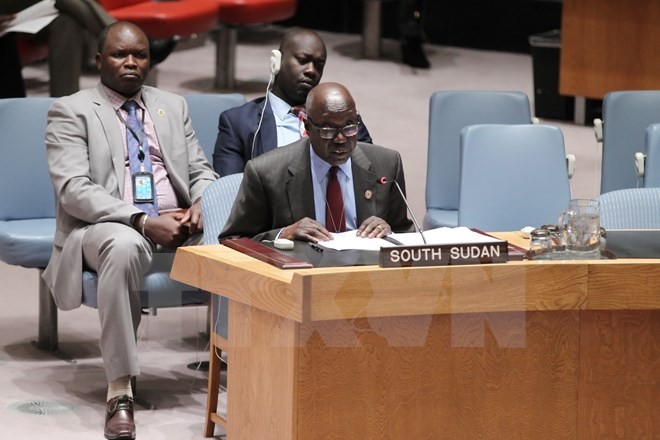 国連、南スーダン制裁決議採択  - ảnh 1
