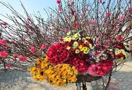 ベトナムの新春を歌う - ảnh 1