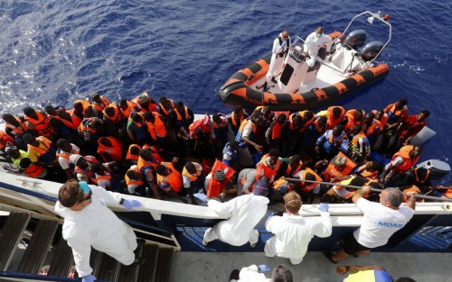 EU、難民受入で協力を呼びかける - ảnh 1