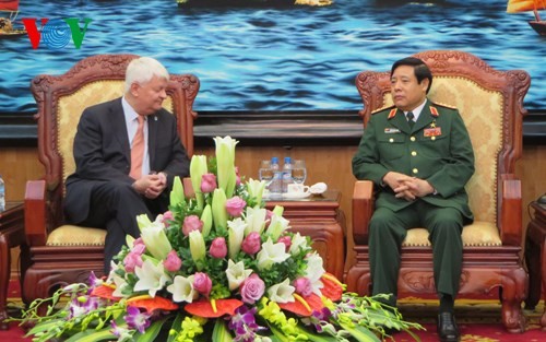 タイン国防大臣、国連平和維持活動担当事務次長と会見 - ảnh 1