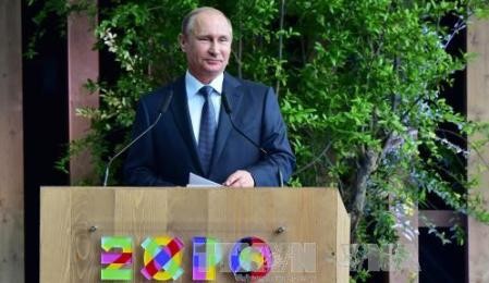 プーチン氏、ウクライナ合意履行訴え - ảnh 1