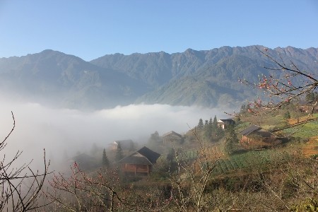 ベトナム、魅力的一人旅目的地に - ảnh 1