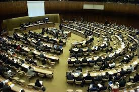 ベトナム、国連人権理事会の活動に積極的に参加 - ảnh 1