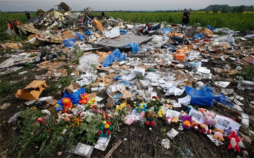 ロシア、MH17事件の政治化に反発 - ảnh 1