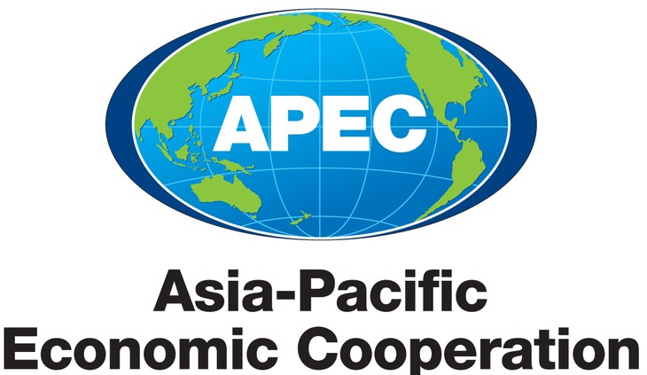 APEC首脳会議を巡る問題 - ảnh 1