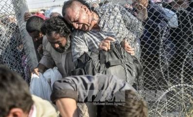 トルコ国境にシリア避難民３万人余押し寄せ - ảnh 1