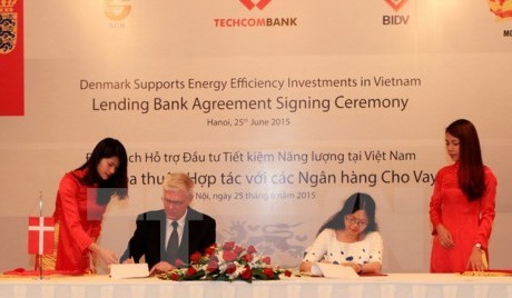 外務省とデンマーク大使館、共同行動計画を締結 - ảnh 1