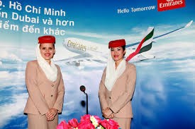 UAE、ベトナムへの直行便を就航へ - ảnh 1