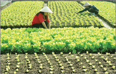 サン国家主席、クチ県代表団と会見 - ảnh 1