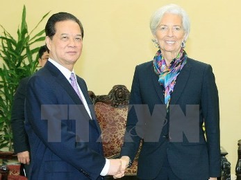 IMF、ベトナムとの協力を強化 - ảnh 1