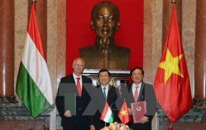 ベトナムとハンガリー、刑事司法互助を強化 - ảnh 1