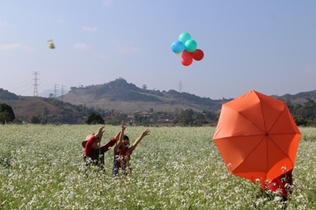  BCG社、ベトナムのSEDA指数が世界４位に - ảnh 1