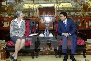 ハノイ、アムステルダムと水・都市管理で協力 - ảnh 1