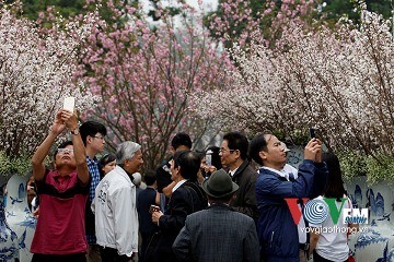 ３月３１日のおしゃべりタイム - ảnh 1