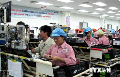 ベトナム、MERCOSUR・ASEAN貿易振興促進活動に参加 - ảnh 1