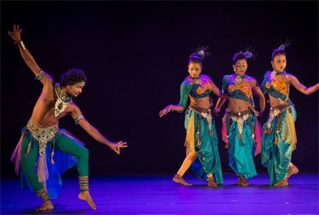 各国の芸術団、5月にベトナムで公演 - ảnh 1