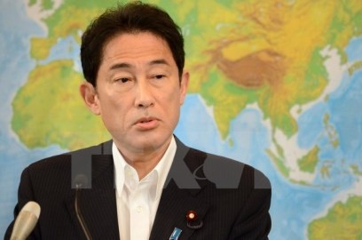 外相 ベトナム東部海域問題でラオスの主導的役割に期待 - ảnh 1