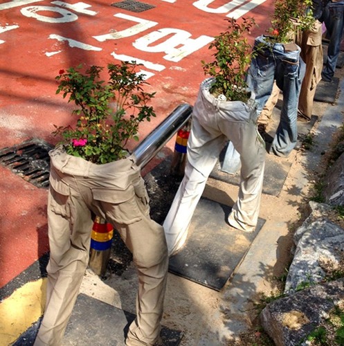 特別な観葉植物の鉢 - ảnh 11