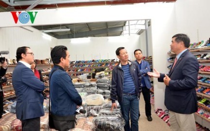 ベトナムとドイツ、経済協力を拡大 - ảnh 1