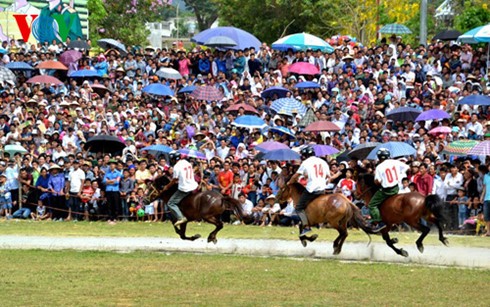数万人を集めたバクハー競馬選手権 - ảnh 1