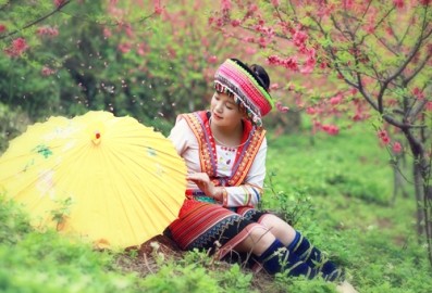 ベトナムの各少数民族の民謡と曲 - ảnh 3