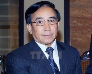 ベトナム・ラオス伝統的友好関係の強化 - ảnh 1