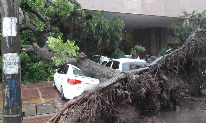 台風ディアンムーによる被害 - ảnh 11