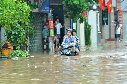 台風ディアンムーによる被害 - ảnh 12