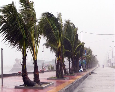 台風ディアンムーによる被害 - ảnh 2