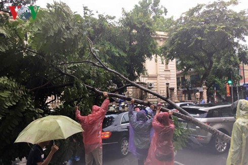 台風ディアンムーによる被害 - ảnh 5