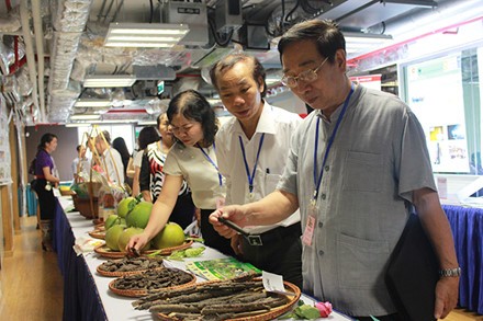 ＵＮDＰ グリーン・イニシアチブをベトナムで広げる - ảnh 1