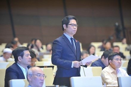 国会 貿易管理法案を討議 - ảnh 1